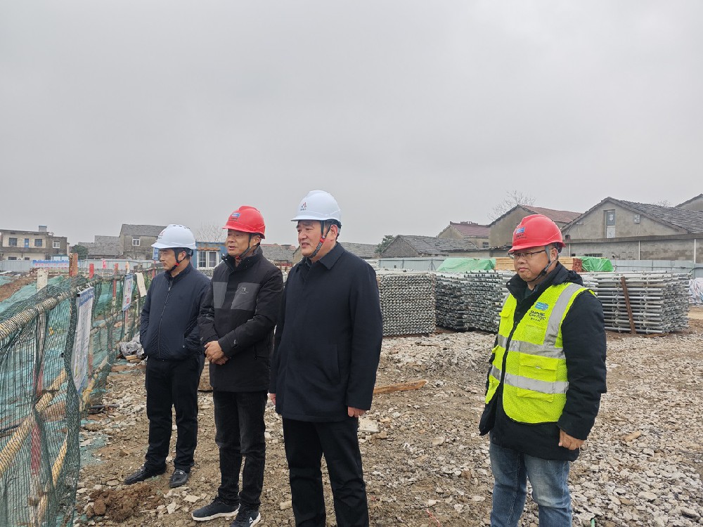 开云集团(中国)公司董事长王焕良赴梅龙一站项目调研指导